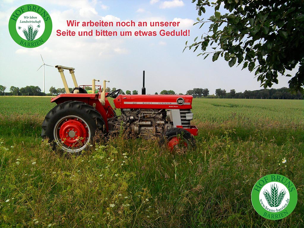 Hier entsteht eine neue Webseite!